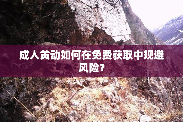 成人黄动如何在免费获取中规避风险？