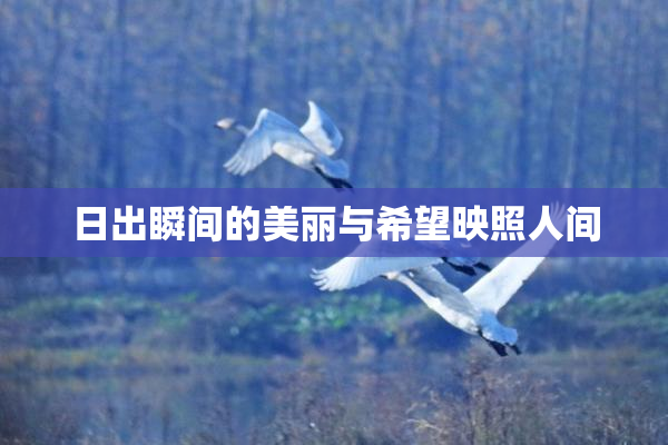 日出瞬间的美丽与希望映照人间