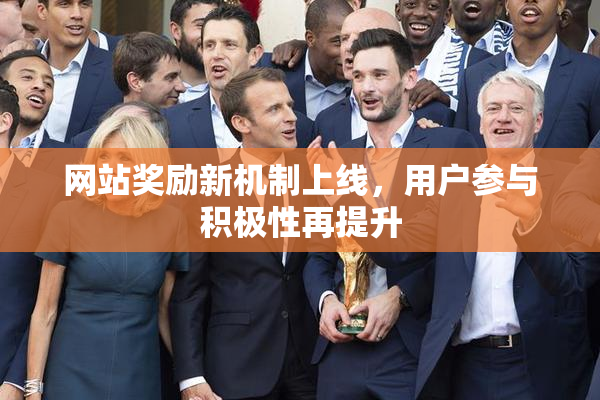 网站奖励新机制上线，用户参与积极性再提升