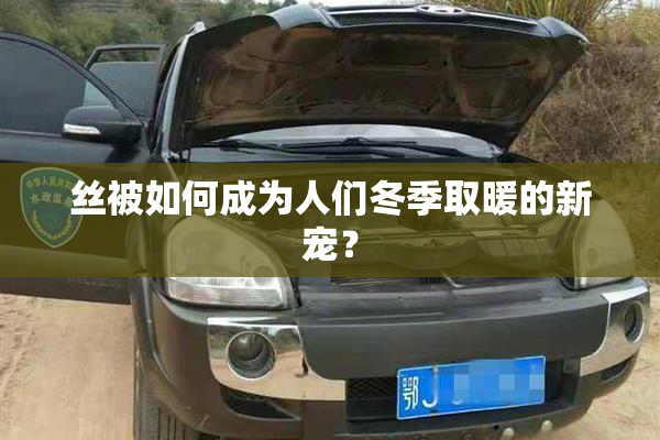 丝被如何成为人们冬季取暖的新宠？
