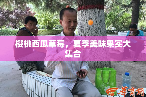 樱桃西瓜草莓，夏季美味果实大集合