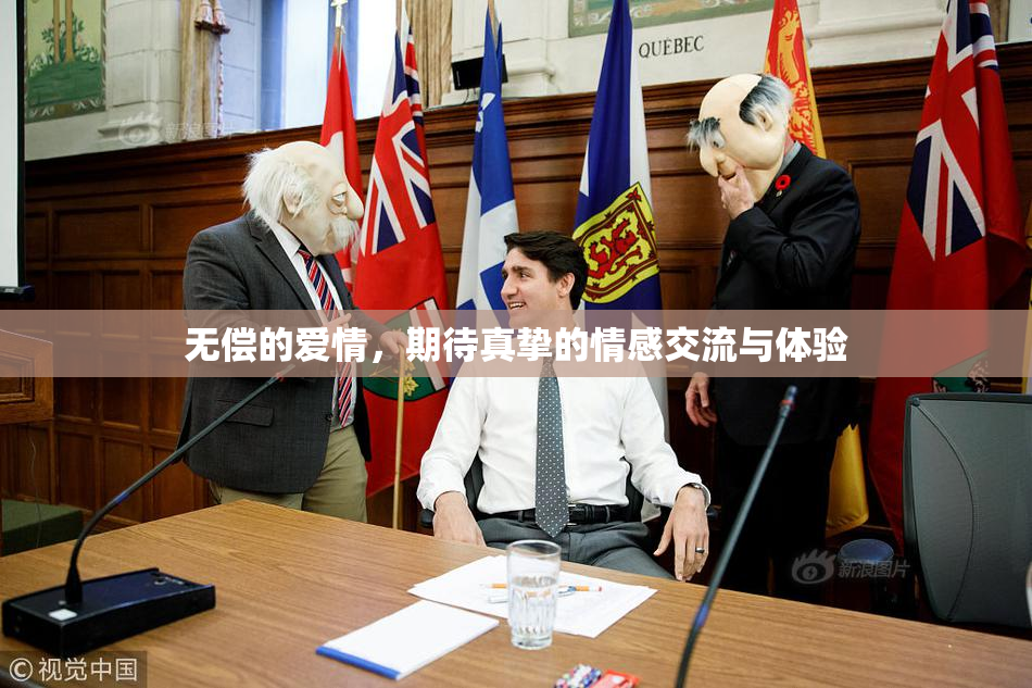 无偿的爱情，期待真挚的情感交流与体验