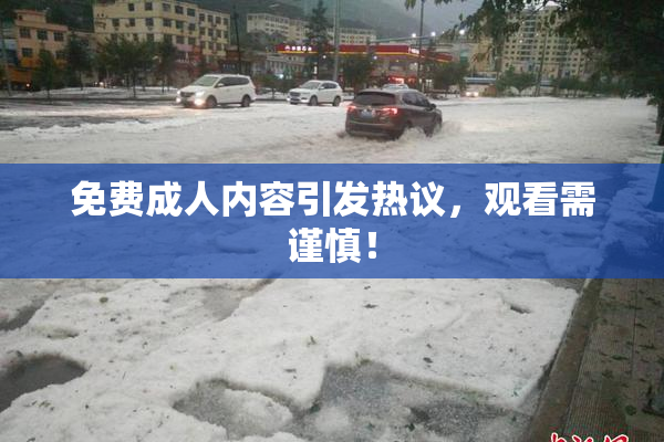 免费成人内容引发热议，观看需谨慎！