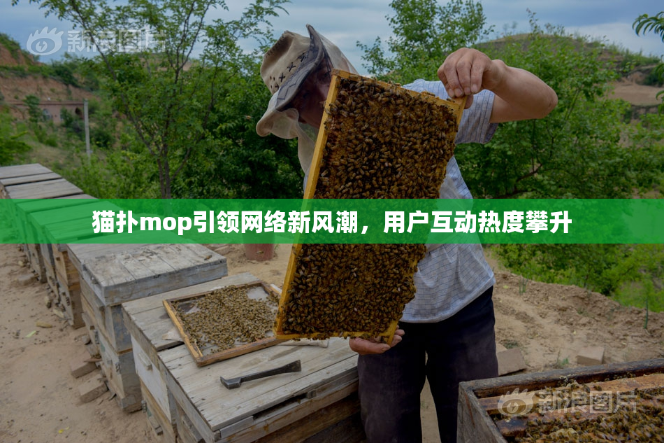 猫扑mop引领网络新风潮，用户互动热度攀升