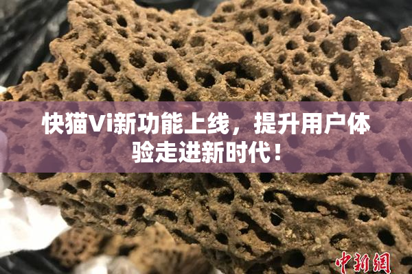 快猫Vi新功能上线，提升用户体验走进新时代！
