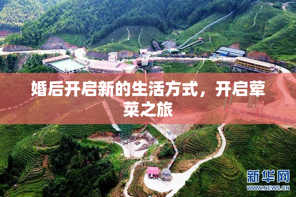 婚后开启新的生活方式，开启荤菜之旅