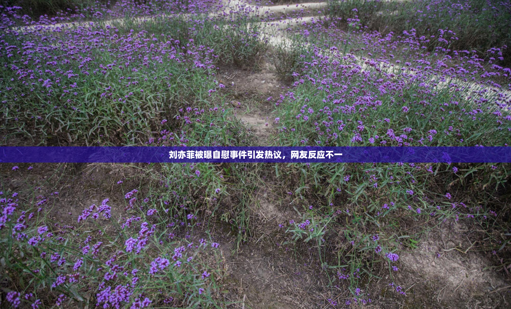 刘亦菲被曝自慰事件引发热议，网友反应不一