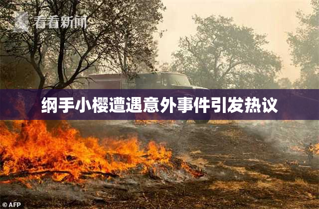 纲手小樱遭遇意外事件引发热议