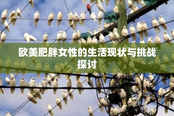 欧美肥胖女性的生活现状与挑战探讨