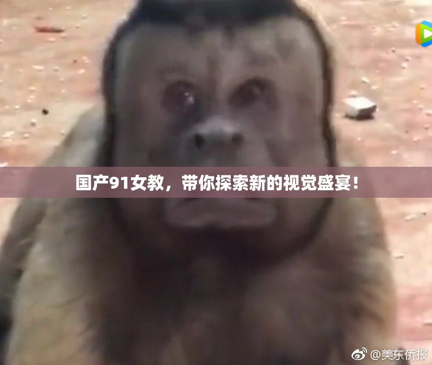 国产91女教，带你探索新的视觉盛宴！