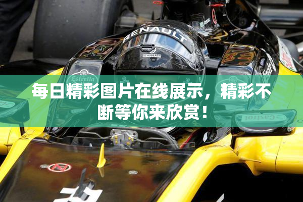 每日精彩图片在线展示，精彩不断等你来欣赏！
