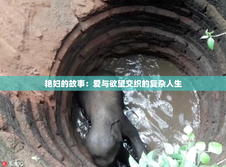 艳妇的故事：爱与欲望交织的复杂人生