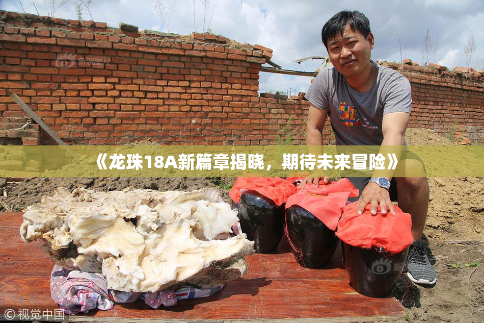 《龙珠18A新篇章揭晓，期待未来冒险》