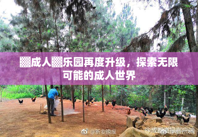 ▓成人▓乐园再度升级，探索无限可能的成人世界