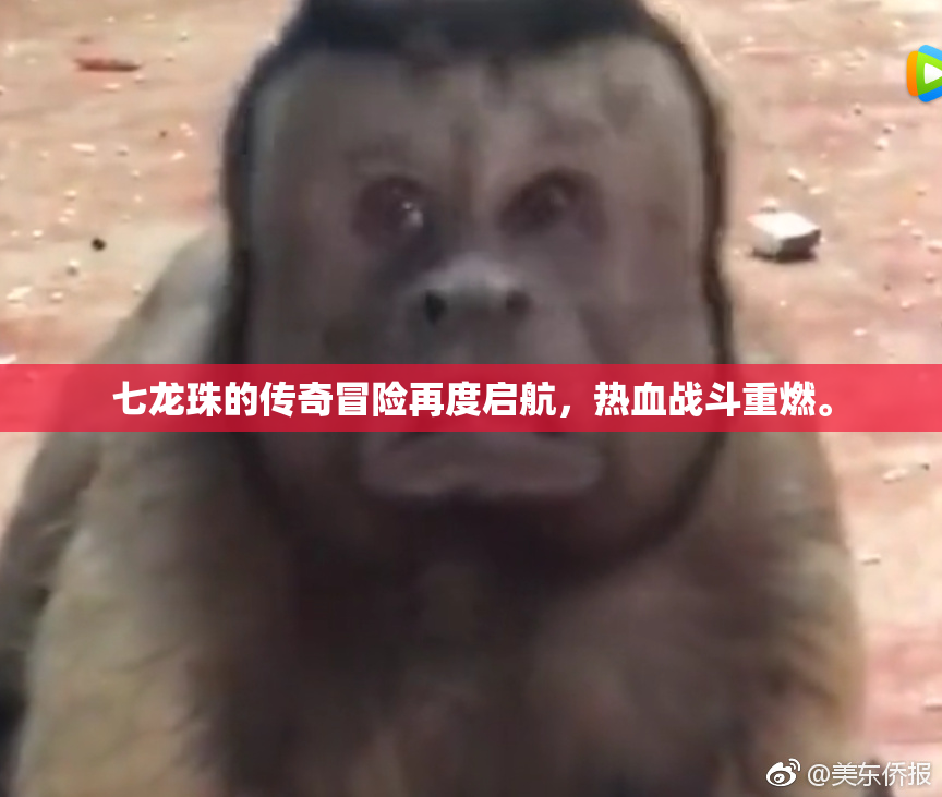 七龙珠的传奇冒险再度启航，热血战斗重燃。