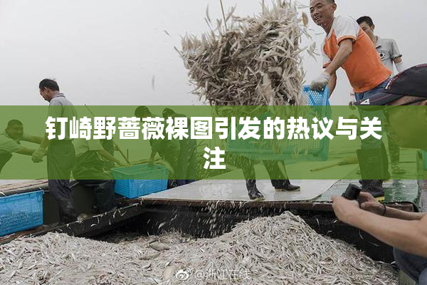 钉崎野蔷薇裸图引发的热议与关注