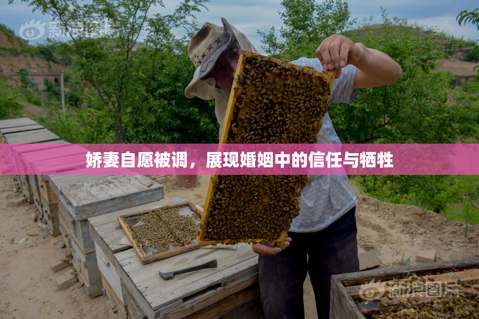 娇妻自愿被调，展现婚姻中的信任与牺牲