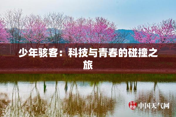 少年骇客：科技与青春的碰撞之旅