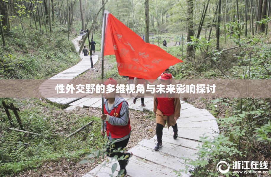 性外交野的多维视角与未来影响探讨