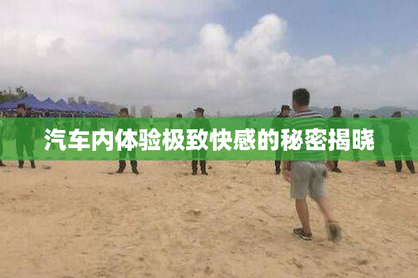 汽车内体验极致快感的秘密揭晓