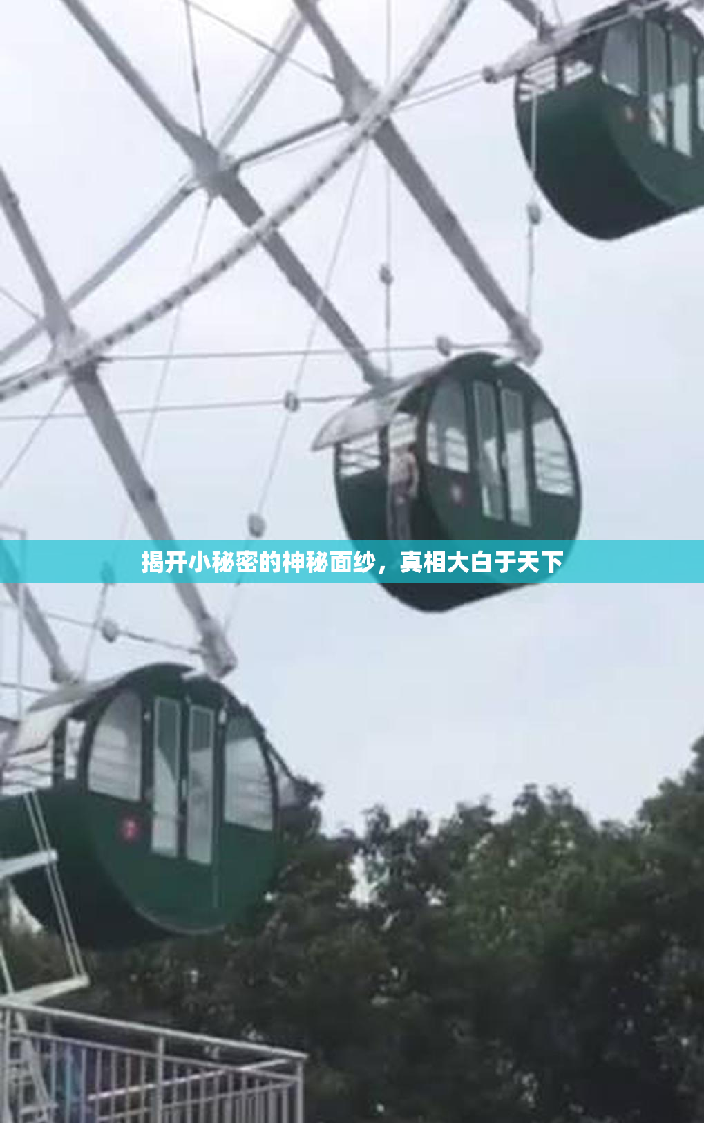 揭开小秘密的神秘面纱，真相大白于天下