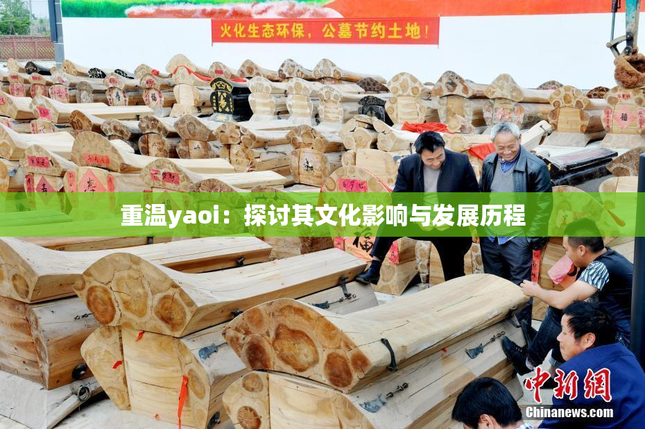 重温yaoi：探讨其文化影响与发展历程