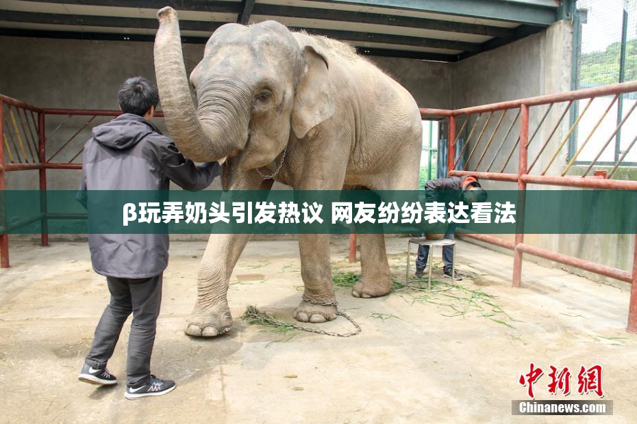 β玩弄奶头引发热议 网友纷纷表达看法