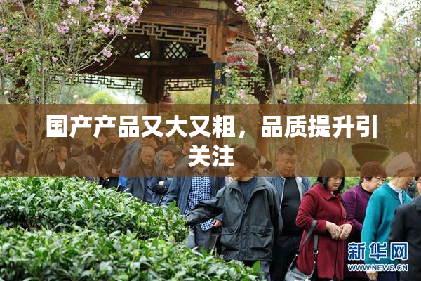 国产产品又大又粗，品质提升引关注