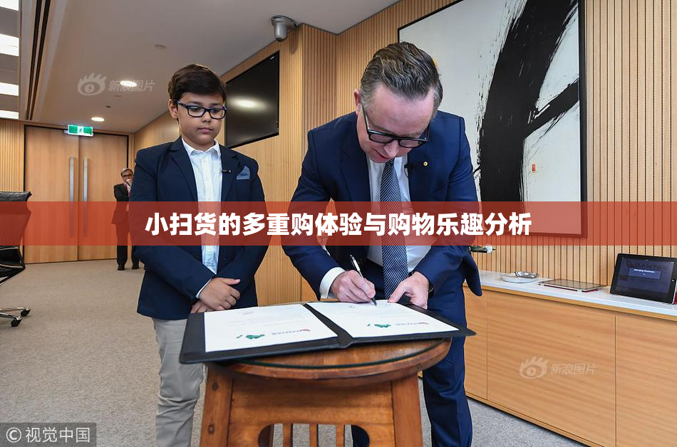 小扫货的多重购体验与购物乐趣分析