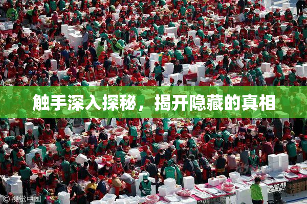 触手深入探秘，揭开隐藏的真相