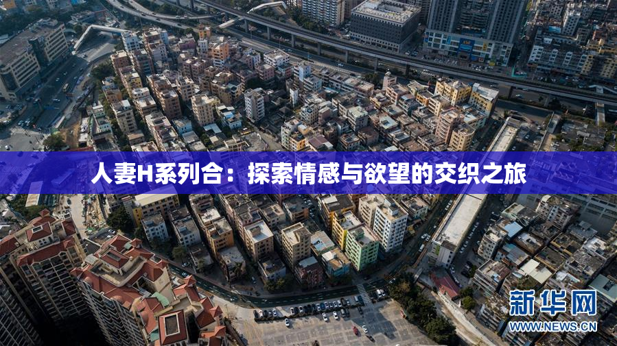 人妻H系列合：探索情感与欲望的交织之旅