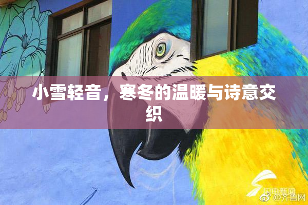 小雪轻音，寒冬的温暖与诗意交织