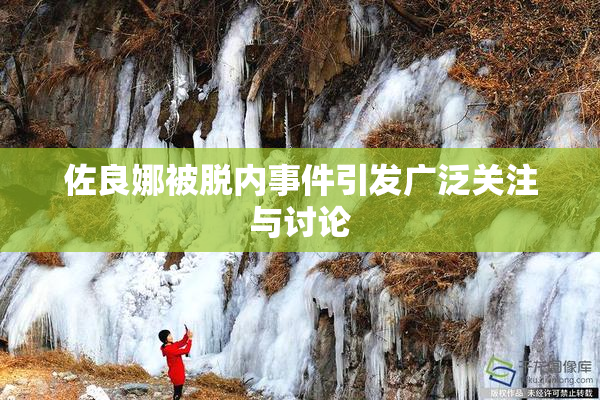 佐良娜被脱内事件引发广泛关注与讨论