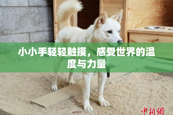 小小手轻轻触摸，感受世界的温度与力量