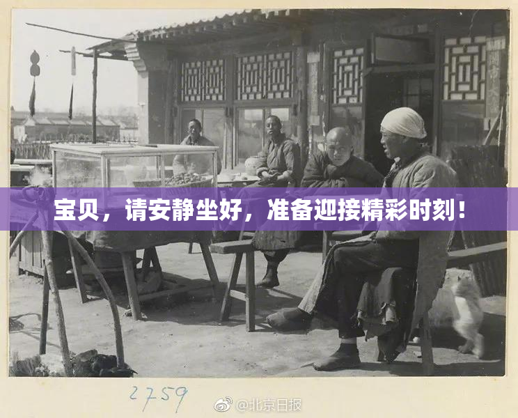 宝贝，请安静坐好，准备迎接精彩时刻！