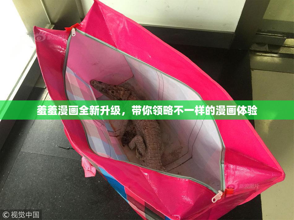 羞羞漫画全新升级，带你领略不一样的漫画体验