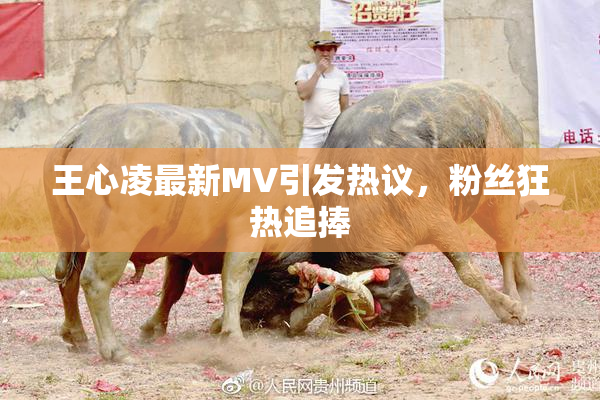 王心凌最新MV引发热议，粉丝狂热追捧