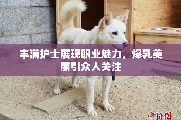 丰满护士展现职业魅力，爆乳美丽引众人关注