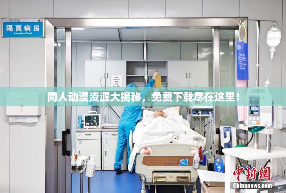 同人动漫资源大揭秘，免费下载尽在这里！