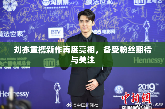 刘亦重携新作再度亮相，备受粉丝期待与关注