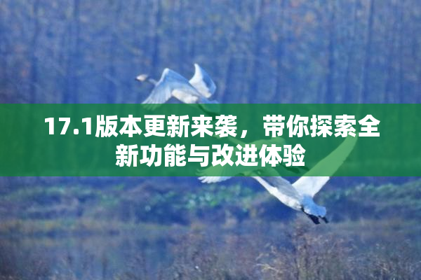 17.1版本更新来袭，带你探索全新功能与改进体验