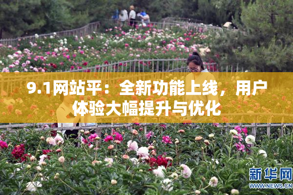 9.1网站平：全新功能上线，用户体验大幅提升与优化