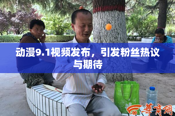动漫9.1视频发布，引发粉丝热议与期待