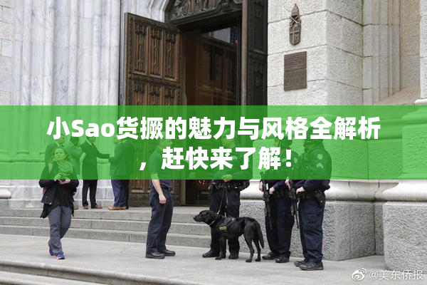 小Sao货撅的魅力与风格全解析，赶快来了解！