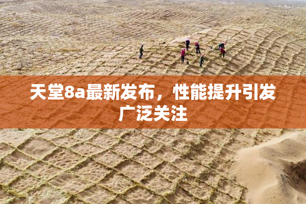 天堂8a最新发布，性能提升引发广泛关注