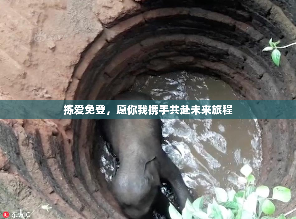 拣爱免登，愿你我携手共赴未来旅程