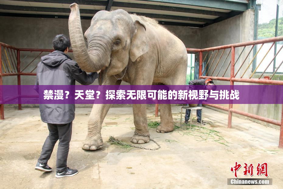 禁漫？天堂？探索无限可能的新视野与挑战