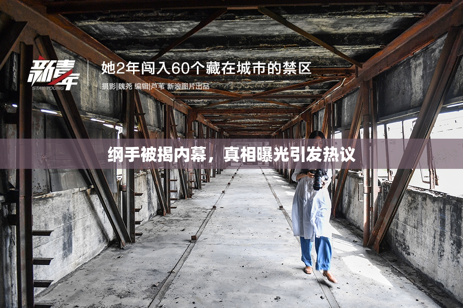 纲手被揭内幕，真相曝光引发热议