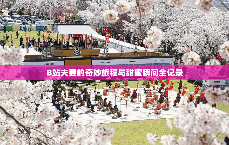 B站夫妻的奇妙旅程与甜蜜瞬间全记录