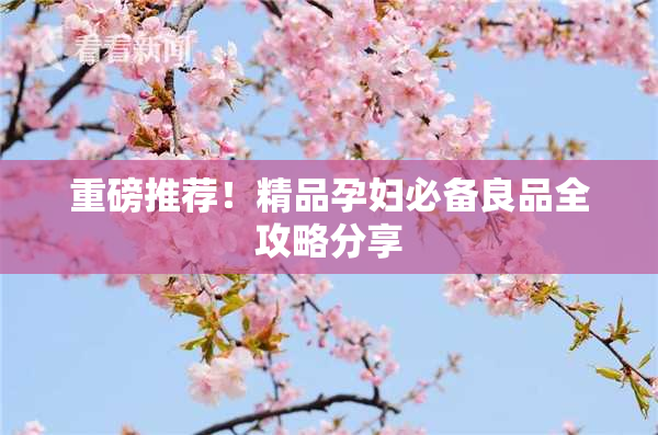 重磅推荐！精品孕妇必备良品全攻略分享